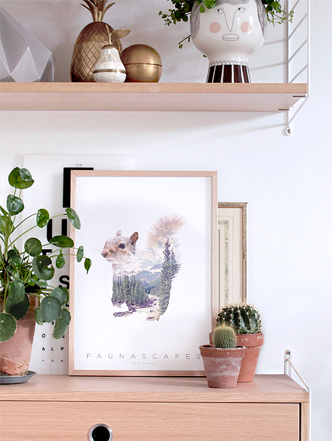 Faunascapes Squirrel - Styled image with string shelf