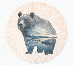 Faunascapes Plywood Print You & Me