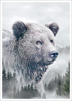 Faunascapes Art Print Brown Bear