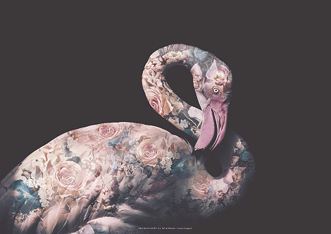 Faunascapes Flower Portrait Pink Flamingo